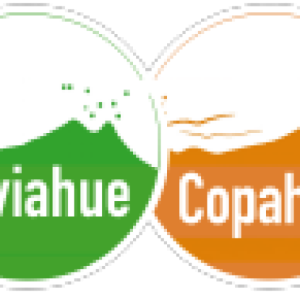 Información oficial para prestadores turísticos 3 Información oficial para prestadores turísticos