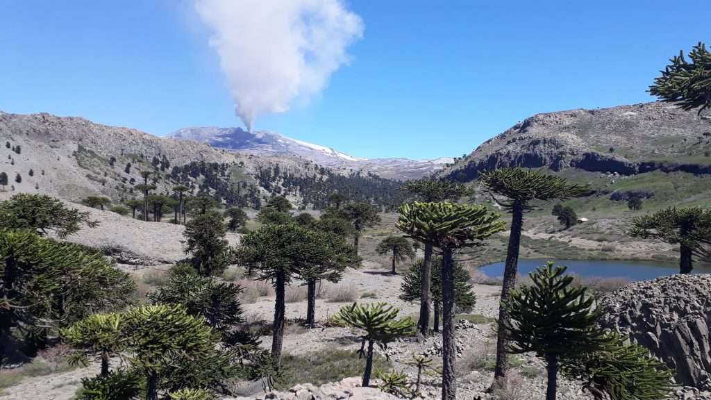 Volcán Copahue